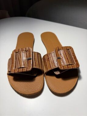 Women's Croc-Textured Buckle Slide Sandals in Tan